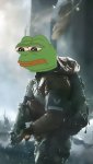 TCTDSunpepe.jpg